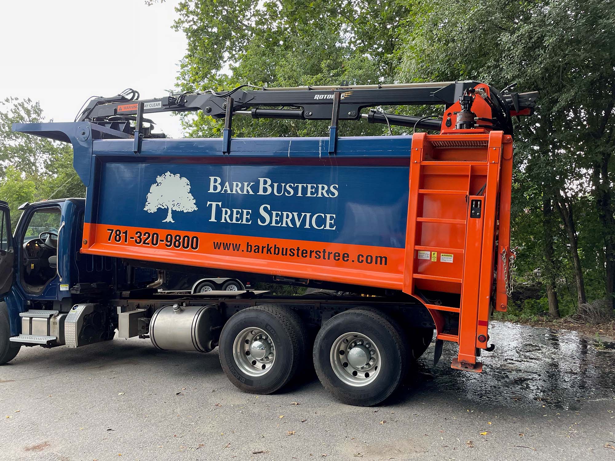 Bark Buster Tree services: Tree Removal, Pruning, Pest Control, Arborist. Westwood Weston Boston, MA Region